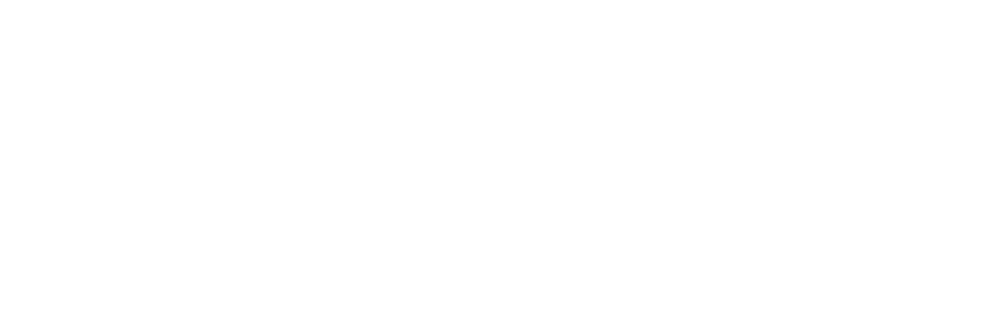 5ir_logo_horizontal_w_tag_white_01